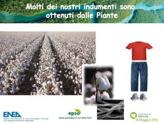 Fascination of Plants Day - 18 Maggio ENEA