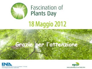 Fascination of Plants Day - 18 Maggio ENEA