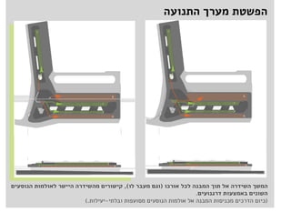 פרוייקט מרכזית בעיר
