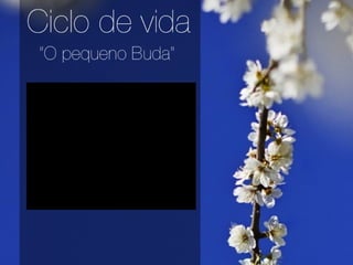 BUDISMO - Religião - G2
