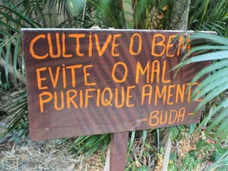 BUDISMO - Religião - G2