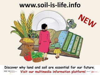 Community
consumption
level is under
recommended
nutrition score
Lack of
attention on
optimizing
homeyard or
neglected area
Food and nutrition
security in
household level
can be enhanced
through a “green
house” or “family
farming”
(Presidential Directive to
the Community
January, 2011)
Availability and accessibility of food for household
Empower men and women in providing a diverse,
nutritious, and safe food for family
Support the effort in achieving MDGs and food and
nutrition security goals
Indonesian Agency for Agricultural Research and Development (IAARD)
Ministry of Agriculture, the Republic of Indonesia
ISSSUES
 