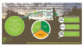  The Resilience Alliance is a research organization that explores
the dynamics of social-ecological systems.
 Our Workbook for Practitioners provides guidance on
understanding complex systems and developing strategies to
cope with change.
 A short guide on resilient food systems is being developed
in collaboration with research partners and we are looking to
engage others with an interest in building resilience and
increasing production in agricultural systems.
 For more information please contact Jennifer Hodbod
jennifer.hodbod@asu.edu
www.resalliance.org
Assessing Resilience:
A Workbook for Practitioners
 