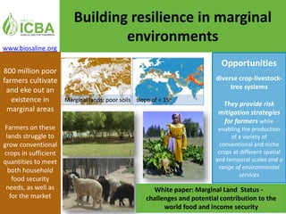 2020 Resilience Knowledge Fair E-Posters