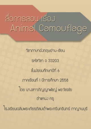Animal Camouflage 