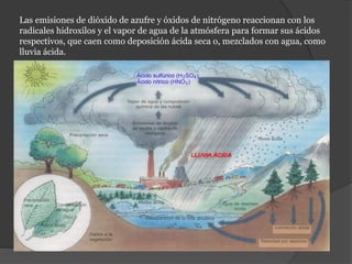 Las emisiones de dióxido de azufre y óxidos de nitrógeno reaccionan con los
radicales hidroxilos y el vapor de agua de la atmósfera para formar sus ácidos
respectivos, que caen como deposición ácida seca o, mezclados con agua, como
lluvia ácida.
 