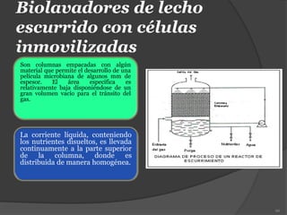 Biolavadores de lecho
escurrido con células
inmovilizadas
Son columnas empacadas con algún
material que permite el desarrollo de una
película microbiana de algunos mm de
espesor. El área específica es
relativamente baja disponiéndose de un
gran volumen vacío para el tránsito del
gas.
66
La corriente líquida, conteniendo
los nutrientes disueltos, es llevada
continuamente a la parte superior
de la columna, donde es
distribuida de manera homogénea.
 