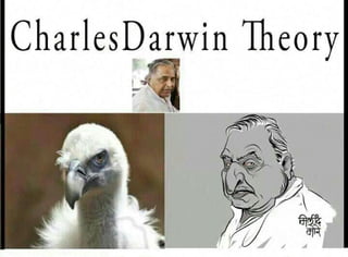 A forward...By Charles Darvin...he he he