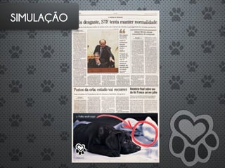 ADOTE - Introdução a Publicidade - G2