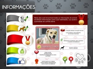 ADOTE - Introdução a Publicidade - G2