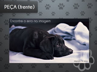 ADOTE - Introdução a Publicidade - G2