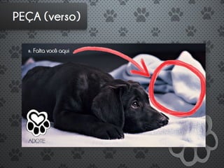 ADOTE - Introdução a Publicidade - G2