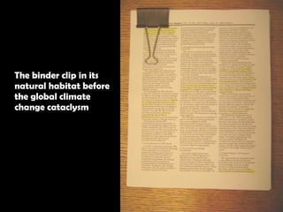 The binder clip in its  natural habitat before  the global climate  change cataclysm 