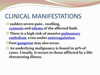 CLINICAL MANIFESTATIONS
 sudden severe pain , swelling,
cyanosis and edema of the affected limb.
 There is a high risk of massive pulmonary
embolism, even under anticoagulation.
Foot gangrene may also occur.
 An underlying malignancy is found in 50% of
cases. Usually, it occurs in those afflicted by a life-
threatening illness.
 