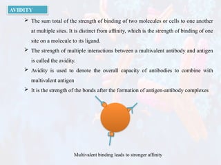 Binding of antigen and antibody. Presentation | PPTX