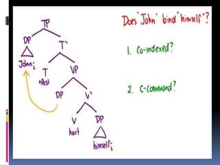 Binding Theory.pptx
