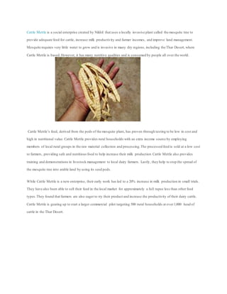 Cattle Mettle is a social enterprise created by Nikhil that uses a locally invasive plant called the mesquite tree to
provide adequate feed for cattle, increase milk productivity and farmer incomes, and improve land management.
Mesquite requires very little water to grow and is invasive in many dry regions, including the Thar Desert, where
Cattle Mettle is based.However, it has many nutritive qualities and is consumed by people all over the world.
Cattle Mettle’s feed, derived from the pods of the mesquite plant, has proven through testing to be low in cost and
high in nutritional value. Cattle Mettle provides rural households with an extra income source by employing
members of local rural groups in the raw material collection and processing.The processed feed is sold at a low cost
to farmers, providing safe and nutritious food to help increase their milk production.Cattle Mettle also provides
training and demonstrations in livestock management to local dairy farmers. Lastly, they help to stop the spread of
the mesquite tree into arable land by using its seed pods.
While Cattle Mettle is a new enterprise, their early work has led to a 20% increase in milk production in small trials.
They have also been able to sell their feed in the local market for approximately a full rupee less than other feed
types.They found that farmers are also eager to try their product and increase the productivity of their dairy cattle.
Cattle Mettle is gearing up to start a larger commercial pilot targeting 500 rural households at over1,000 head of
cattle in the Thar Desert.
 