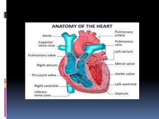 BINDU PPT.pptx presentation on coronary artery disease | PPTX