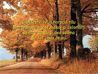 Gândeşte-te la norocul tău şi transmite acest mesaj şi celorlalţi pentru ca să-şi dea seama de   tot ceea ce au. 