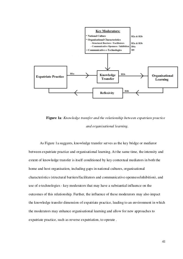 Expatriate success factors image