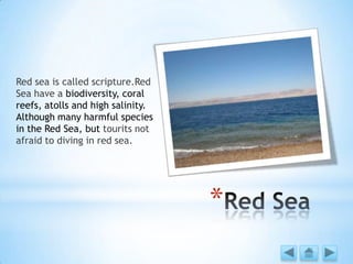 *
Red sea is called scripture.Red
Sea have a biodiversity, coral
reefs, atolls and high salinity.
Although many harmful species
in the Red Sea, but tourits not
afraid to diving in red sea.
 