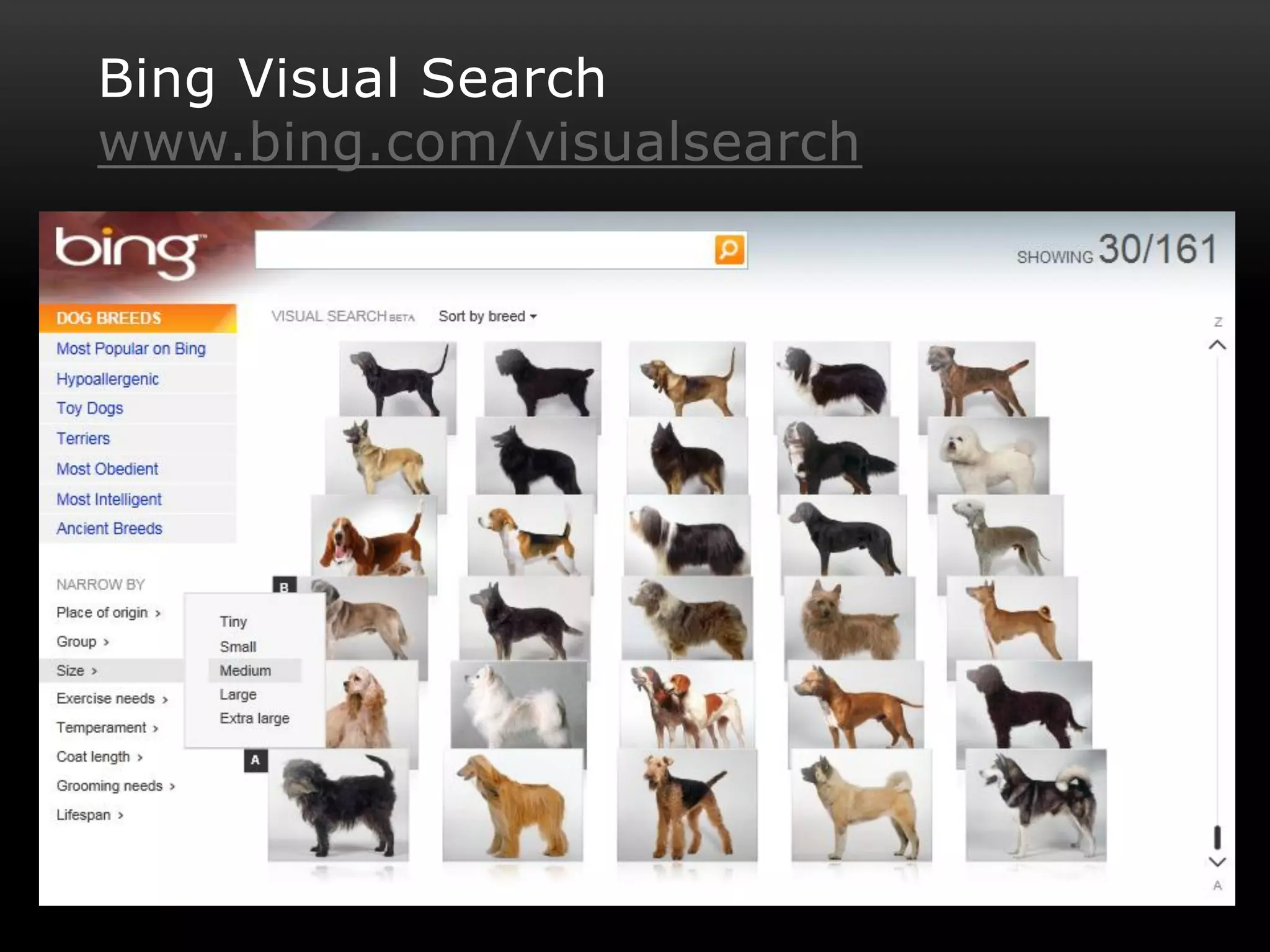 Bing Visual Search
www.bing.com/visualsearch
 
