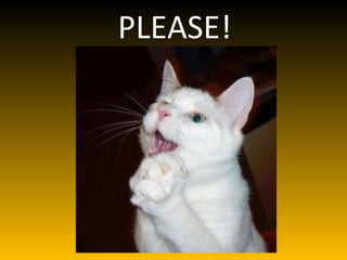 PLEASE!