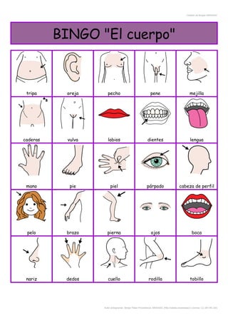 Creador de Bingos ARASAAC
BINGO "El cuerpo"
tripa oreja pecho pene mejilla
caderas vulva labios dientes lengua
mano pie piel párpado cabeza de perfil
pelo brazo pierna ojos boca
nariz dedos cuello rodilla tobillo
Autor pictogramas: Sergio Palao Procedencia: ARASAAC (http://catedu.es/arasaac/) Licencia: CC (BY-NC-SA)
 