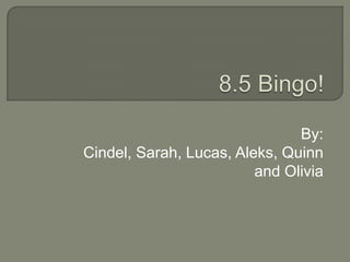 8.5 Bingo! By: Cindel, Sarah, Lucas, Aleks, Quinn and Olivia 