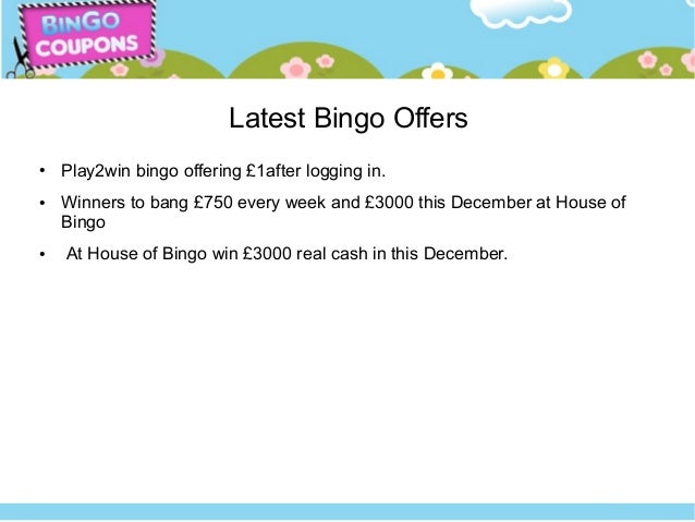 Bingo Bingo