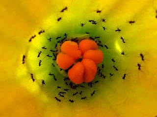 @samnewman@velocityconf
 