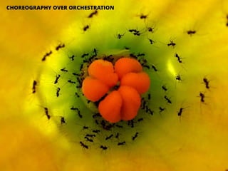 @samnewman@velocityconf
CHOREOGRAPHY OVER ORCHESTRATION
 