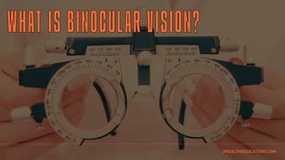Binocular-Vision-Dysfunction-The-Brain-Binocular-Vision-Movement-and ...