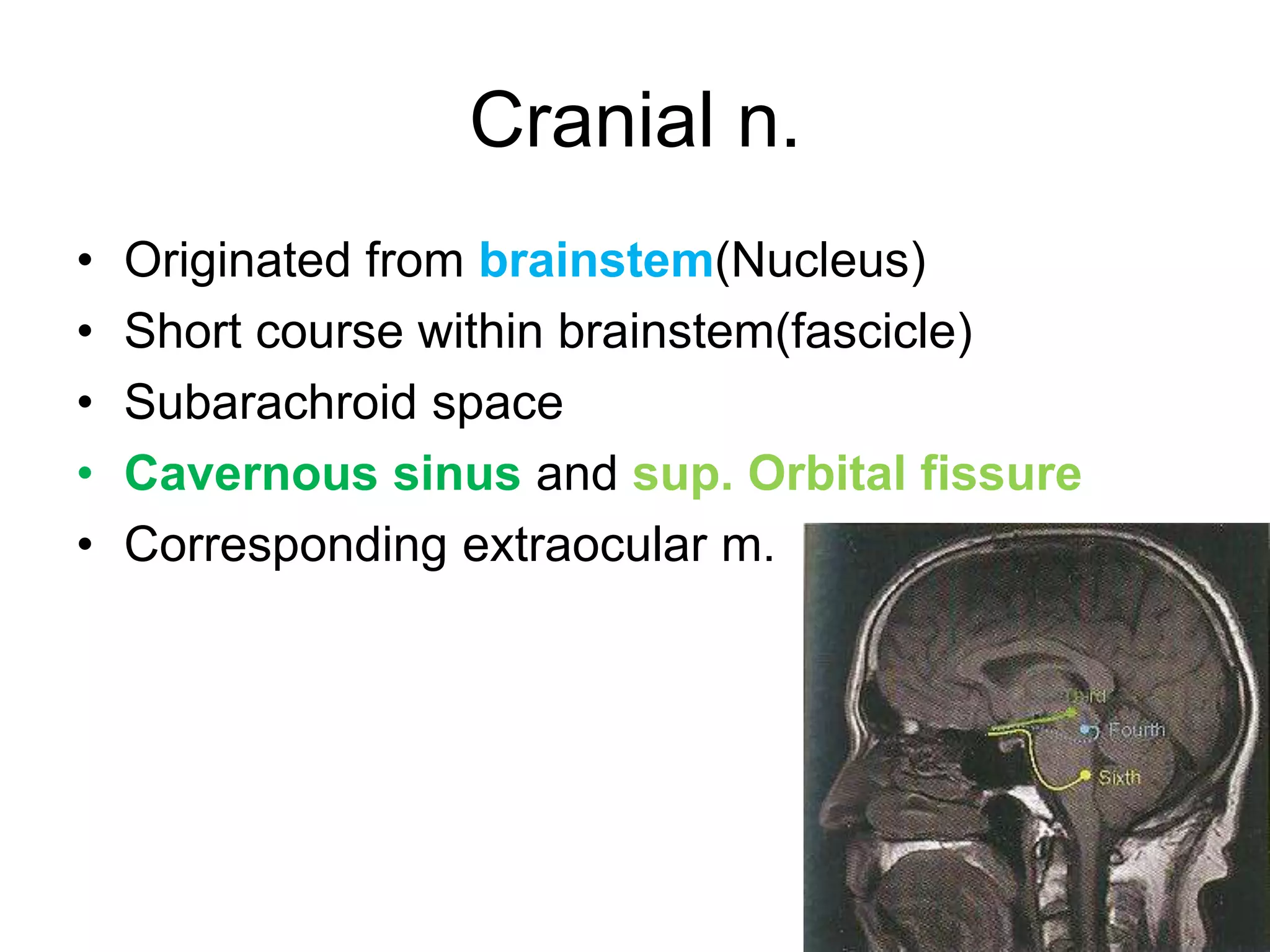 Cranial n.
•   Originated from brainstem(Nucleus)
•   Short course within brainstem(fascicle)
•   Subarachroid space
•   Cavernous sinus and sup. Orbital fissure
•   Corresponding extraocular m.
 