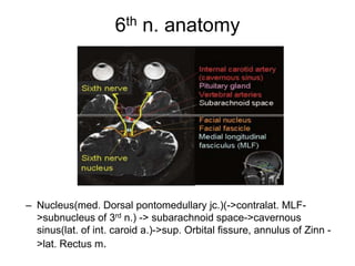 6th n. anatomy




– Nucleus(med. Dorsal pontomedullary jc.)(->contralat. MLF-
  >subnucleus of 3rd n.) -> subarachnoid space->cavernous
  sinus(lat. of int. caroid a.)->sup. Orbital fissure, annulus of Zinn -
  >lat. Rectus m.
 