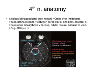 4th n. anatomy
• Nucleus(periaqueductal gray matter)->Cross over (midbrain)-
  >subarachnoid space->Between cerebellar a. and post. cerebral a.-
  >cavernous sinus(above V1)->sup. orbital fissure, annulus of Zinn-
  >Sup. Oblique m.
 