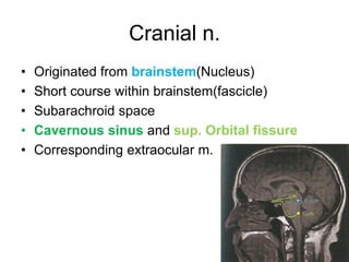 Cranial n.
•   Originated from brainstem(Nucleus)
•   Short course within brainstem(fascicle)
•   Subarachroid space
•   Cavernous sinus and sup. Orbital fissure
•   Corresponding extraocular m.
 