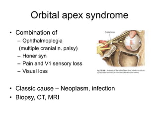 Orbital apex syndrome
• Combination of
  – Ophthalmoplegia
  (multiple cranial n. palsy)
  – Honer syn
  – Pain and V1 sensory loss
  – Visual loss


• Classic cause – Neoplasm, infection
• Biopsy, CT, MRI
 