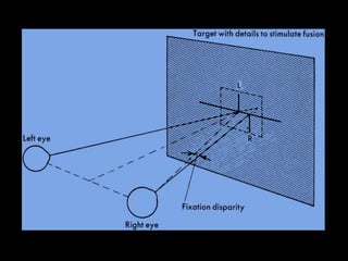 Receptive fields in cortexChemical mediators & Neuromodulatory TransmittersControls circular receptive fields of retinal cells