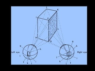 Orientation Specificity & Motion Selectivity