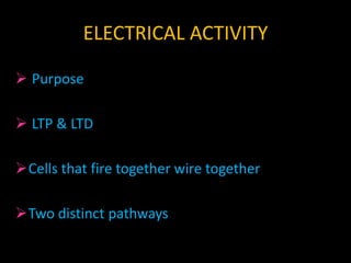 Onset of electrical activity