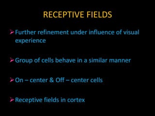 Receptive fields