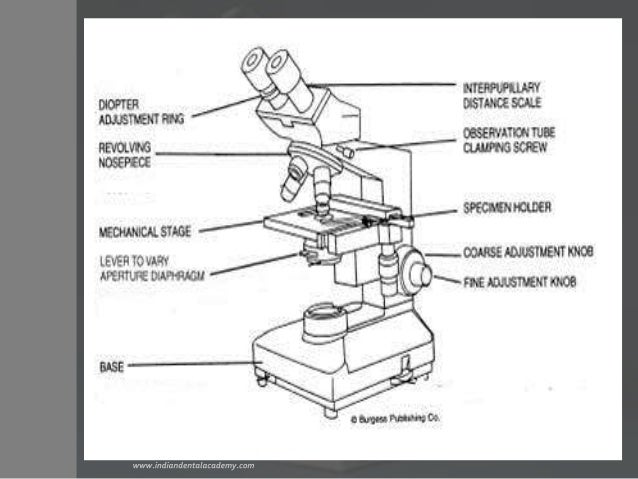 binocular parts diagram diagram of binocular microscope 28 images diagram of binocular parts diagram diagram of binocular microscope 28 images diagram of