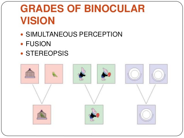Binocular Vision