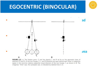 EGOCENTRIC (BINOCULAR)
• Frame of reference(single system of VD) is head
(egocentric) rather than 2 eyes.
• Visual space is seen with imaginary single
eye(cyclopean eye)
• Herring’s law of identical visual direction – fovea
have a common subjective visual direction.
 