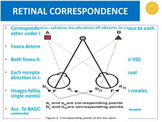 RETINAL CORRESPONDENCE
• Correspondence- relative localisation of objects in space to each
other under binocular conditions.
• Fovea determines the principle visual direction
• Both fovea has same space value i.e. ‘ZERO’ (principal VD)
• Each receptor under monocular condition dictates visual
direction in relation to fovea
• Images falling on corresponding locations in each eye creates
single mental impression.
• Acc. To BAGOLINI it’s area to area relationship not point to point
relationship
 