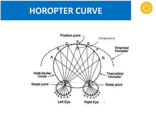 HOROPTER CURVE
 