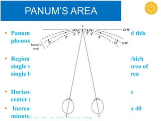 PANUM’S AREA
• Panum, the Danish physiologist, first reported this
phenomenon.
• Region in front and back of the horopter in which
single vision is present is known as Panum’s area of
single binocular vision or Panum’s fusional area
• Horizontal extent of these areas is small at the
center (6 to 10 minutes near the fovea)
• Increases toward the periphery (around 30 to 40
minutes at 12° from the fovea)
 