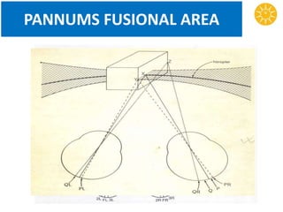 PANNUMS FUSIONAL AREA
 