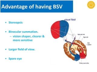 Advantage of having BSV
• Stereopsis
• Binocular summation.
– vision shaper, clearer &
more sensitive
• Larger field of view.
• Spare eye
visual field
 